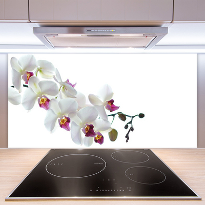 Keuken achterwand glas met print Bloemen plantaardige aard