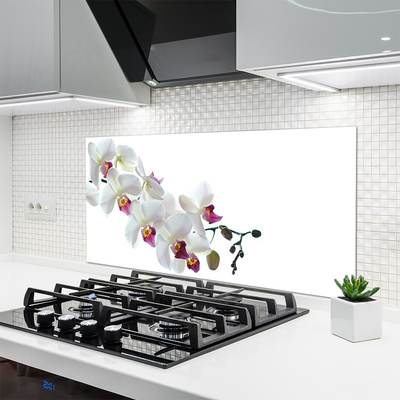 Keuken achterwand glas met print Bloemen plantaardige aard