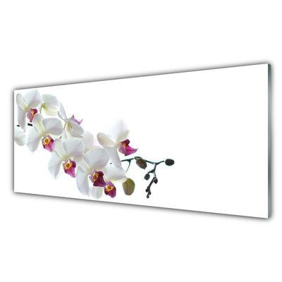 Keuken achterwand glas met print Bloemen plantaardige aard