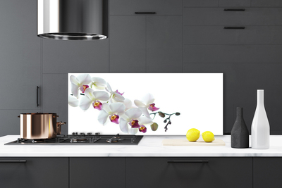 Keuken achterwand glas met print Bloemen plantaardige aard