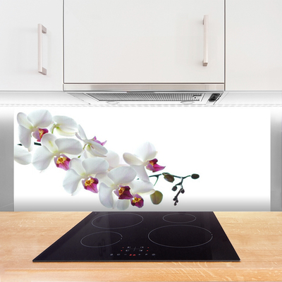 Keuken achterwand glas met print Bloemen plantaardige aard