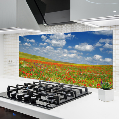 Keuken achterwand glas met print Weide bloemen landschap