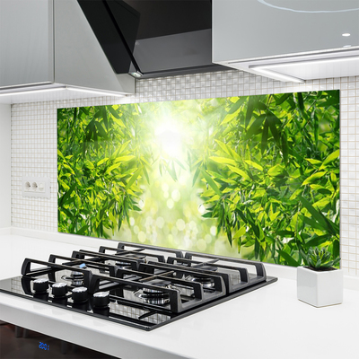 Keuken achterwand glas met print Bladeren van de natuurplant
