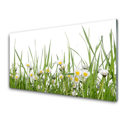 Keuken achterwand glas met print Gras daisy nature