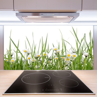 Keuken achterwand glas met print Gras daisy nature