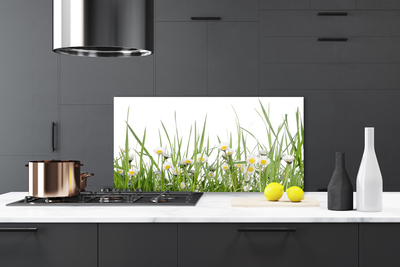 Keuken achterwand glas met print Gras daisy nature