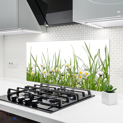 Keuken achterwand glas met print Gras daisy nature