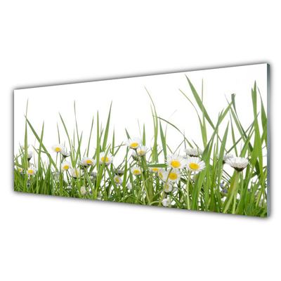 Keuken achterwand glas met print Gras daisy nature