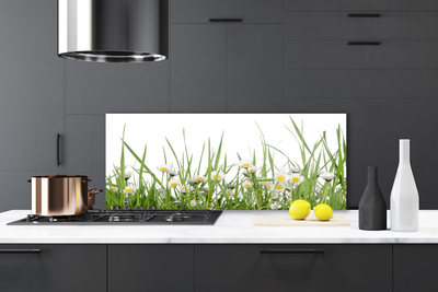 Keuken achterwand glas met print Gras daisy nature