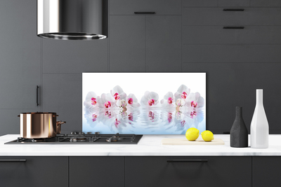 Keuken achterwand glas met print Bloemen plantaardige kunst