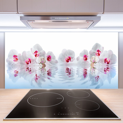 Keuken achterwand glas met print Bloemen plantaardige kunst