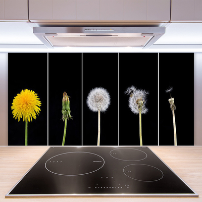 Keuken achterwand glas met print Paardebloemplant