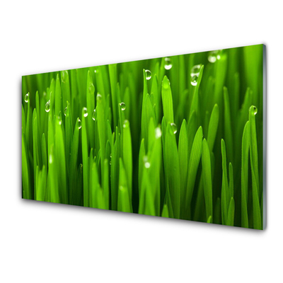 Keuken achterwand glas met print Gras natuurplant