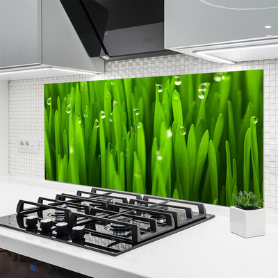 Keuken achterwand glas met print Gras natuurplant