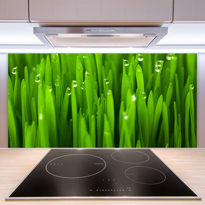 Keuken achterwand glas met print Gras natuurplant