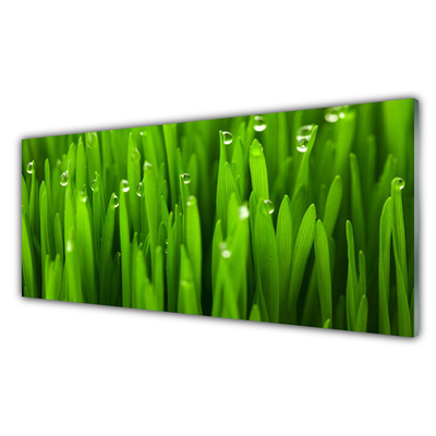 Keuken achterwand glas met print Gras natuurplant