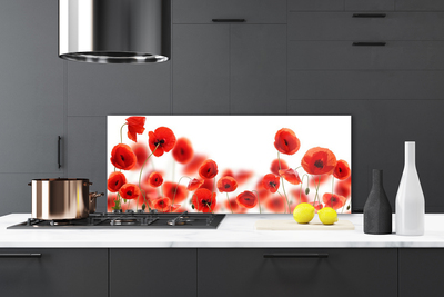 Keuken achterwand glas met print Maki plant nature