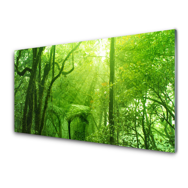 Keuken achterwand glas met print Bomen natuur