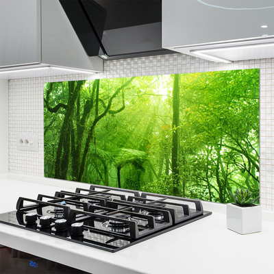 Keuken achterwand glas met print Bomen natuur