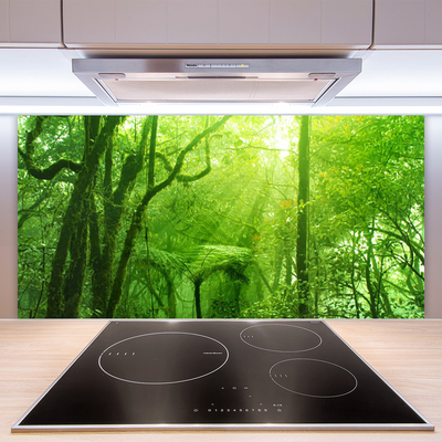 Keuken achterwand glas met print Bomen natuur