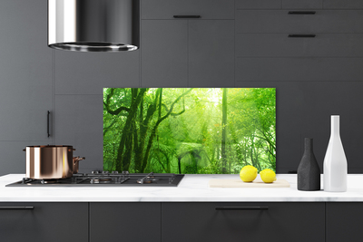 Keuken achterwand glas met print Bomen natuur