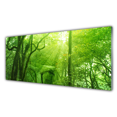 Keuken achterwand glas met print Bomen natuur