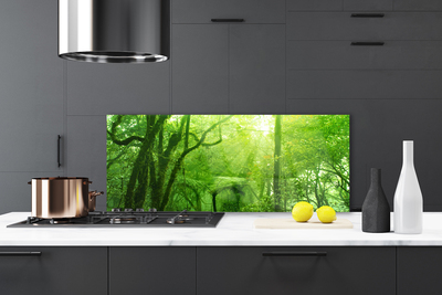 Keuken achterwand glas met print Bomen natuur