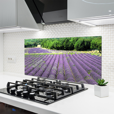 Keuken achterwand glas met print Weide bloemen natuurplant