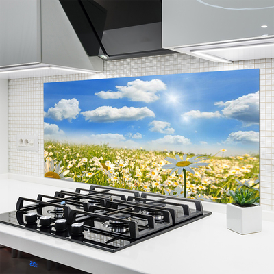 Keuken achterwand glas met print Weide. Daisy natuur