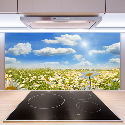 Keuken achterwand glas met print Weide. Daisy natuur