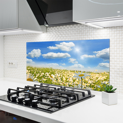 Keuken achterwand glas met print Weide. Daisy natuur