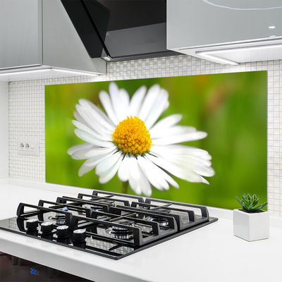 Keuken achterwand glas met print Daisy plant nature