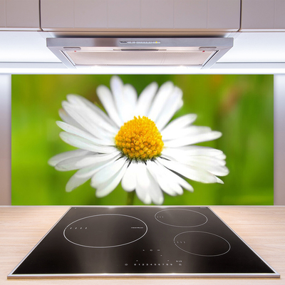 Keuken achterwand glas met print Daisy plant nature