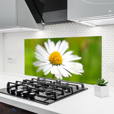 Keuken achterwand glas met print Daisy plant nature