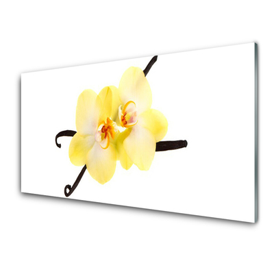 Keuken achterwand glas met print Bloemen plantaardige aard