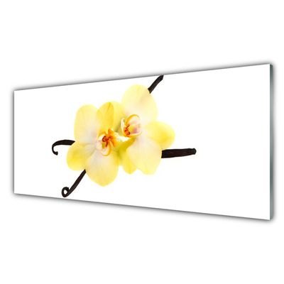 Keuken achterwand glas met print Bloemen plantaardige aard