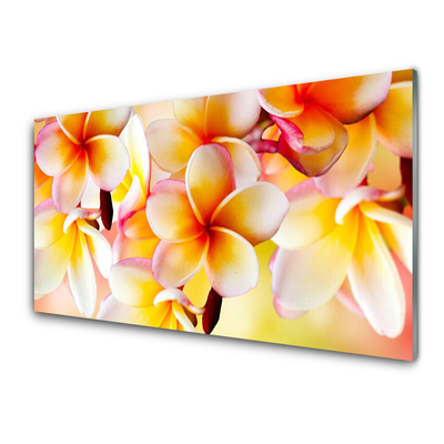 Keuken achterwand glas met print Bloemen plantaardige aard