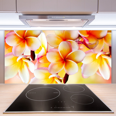 Keuken achterwand glas met print Bloemen plantaardige aard