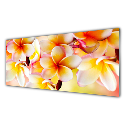 Keuken achterwand glas met print Bloemen plantaardige aard