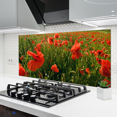 Keuken achterwand glas met print Maki plant nature