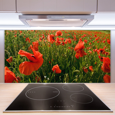 Keuken achterwand glas met print Maki plant nature