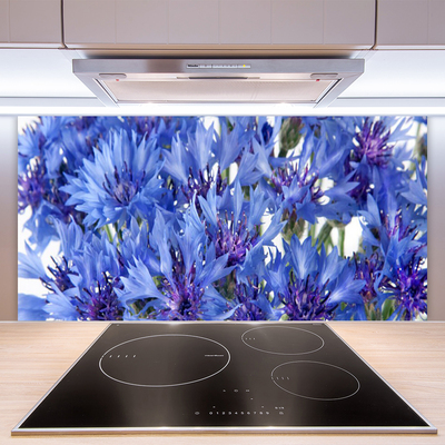 Keuken achterwand glas met print Bloemen plantaardige aard