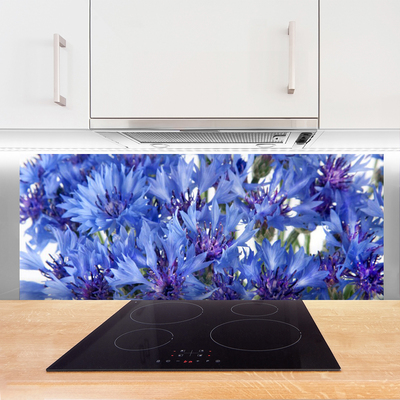 Keuken achterwand glas met print Bloemen plantaardige aard