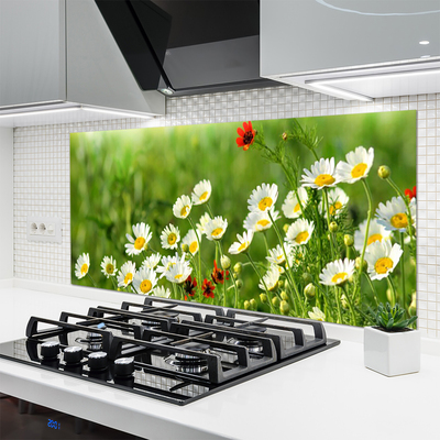 Keuken achterwand glas met print Daisy plant nature