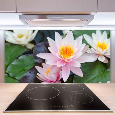 Keuken achterwand glas met print Bloemen plantaardige aard