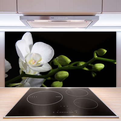 Keuken achterwand glas met print Bloem plantaard