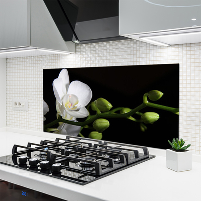 Keuken achterwand glas met print Bloem plantaard