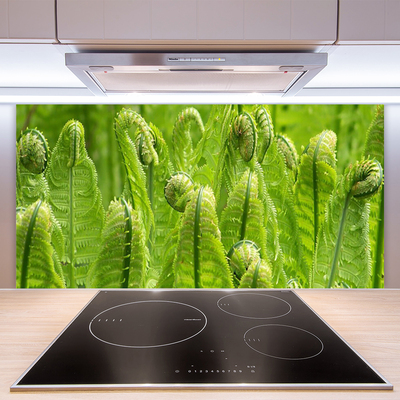 Keuken achterwand glas met print Natuurplant