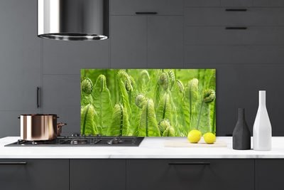 Keuken achterwand glas met print Natuurplant