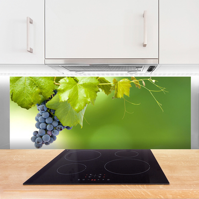 Keuken achterwand glas met print Druiven. Bladeren. Keuken